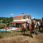 Madonnina فيلة *